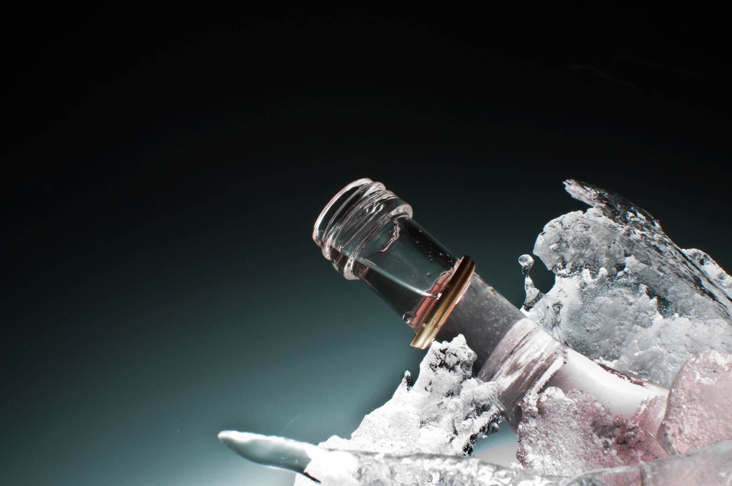 bouteille prise dans la glace, nicolas dechef, infographiste & photographe, Charleroi & Namur (Walcourt)